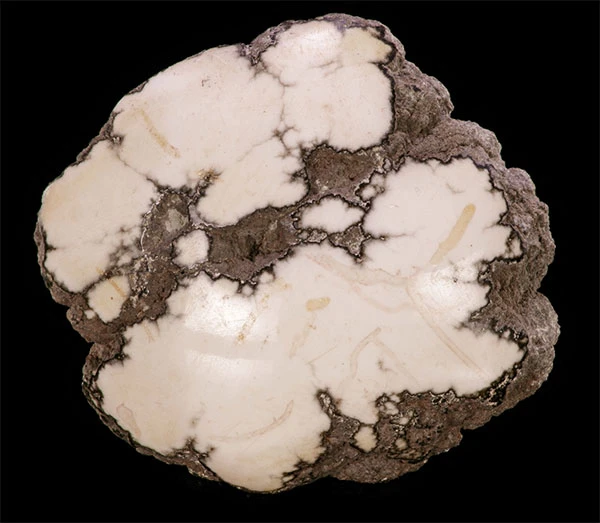 Howlite | Photo: Rob Lavinsky and MineralAuctions.com The mineral howlite