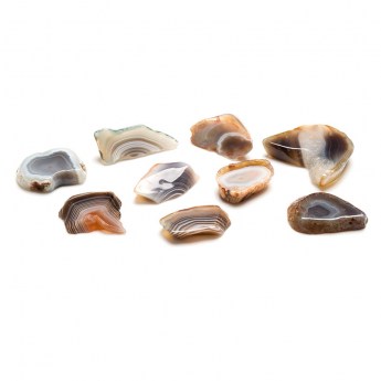 collection of small pieces of agate isolated on a white background