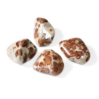 4 garnet in limestone tumbled stones