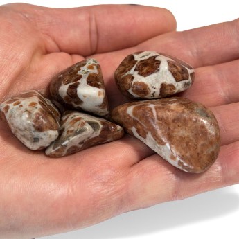 spessartine garnet in limestone tumbled stones in someone's hand